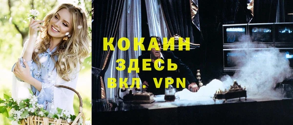 спиды Новодвинск