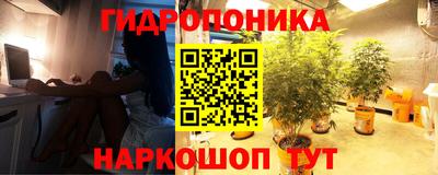 ешки Кунгур