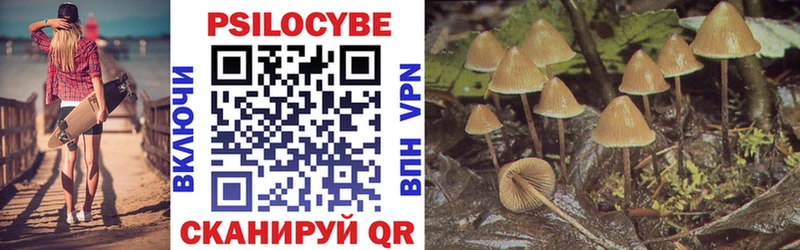 Псилоцибиновые грибы мухоморы  MEGA вход  Саров 
