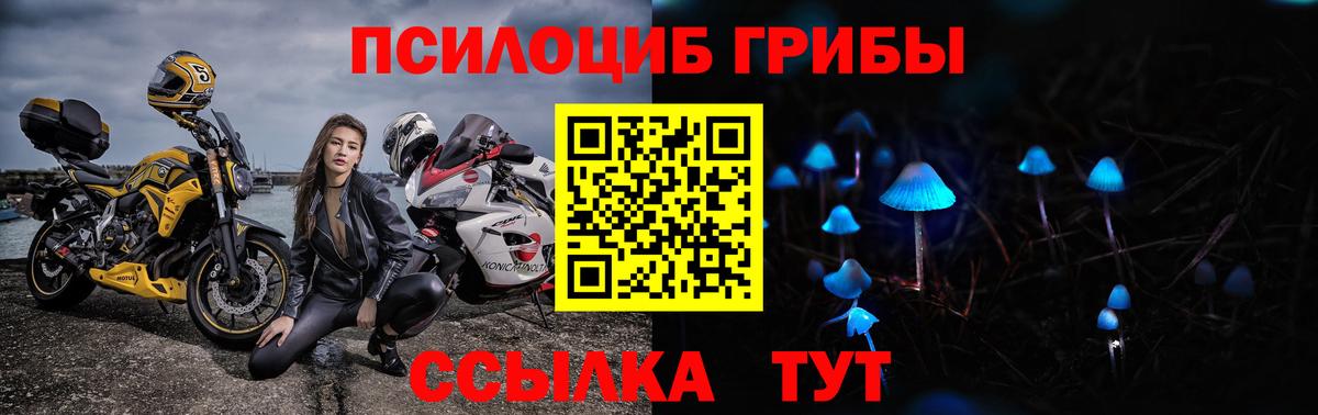 Саров  как найти закладки  Вход с VPN  Галлюциногенные грибы Magic Shrooms 